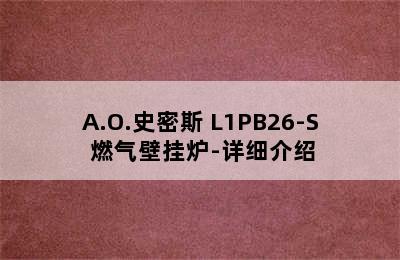 A.O.史密斯 L1PB26-S 燃气壁挂炉-详细介绍